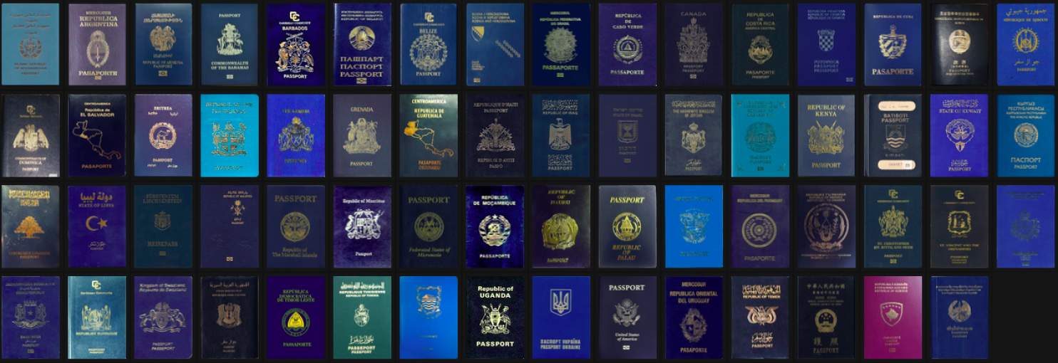 Визуализация: "Влиятельность паспорта"