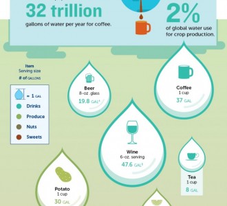 Инфографика: На что мы тратим воду?